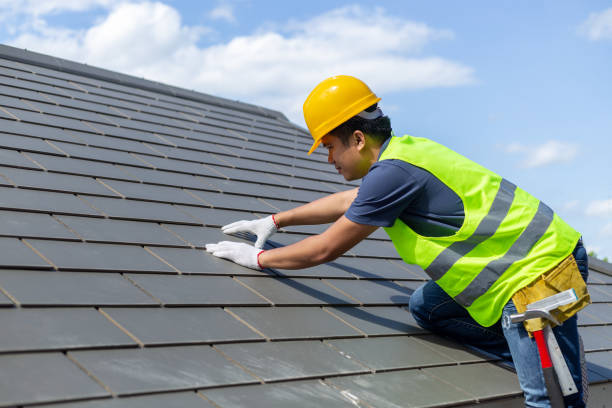 Best Roof Maintenance Services  in Herington, KS