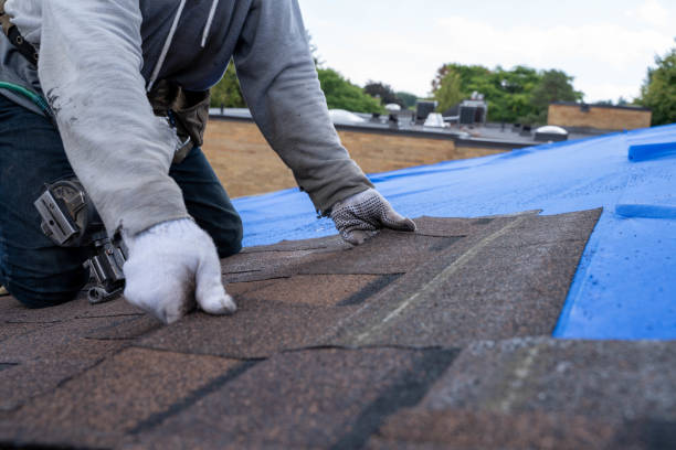 Best Local Roofing Companies  in Herington, KS