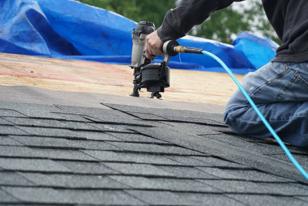 Roof Gutter Cleaning